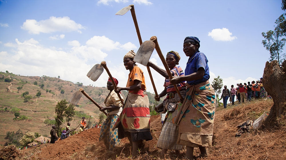The agricultural sector in Rwanda