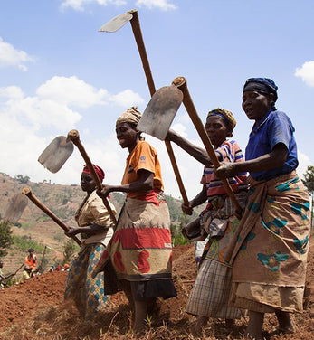 The agricultural sector in Rwanda